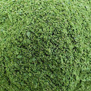 ground dried lemon myrtle